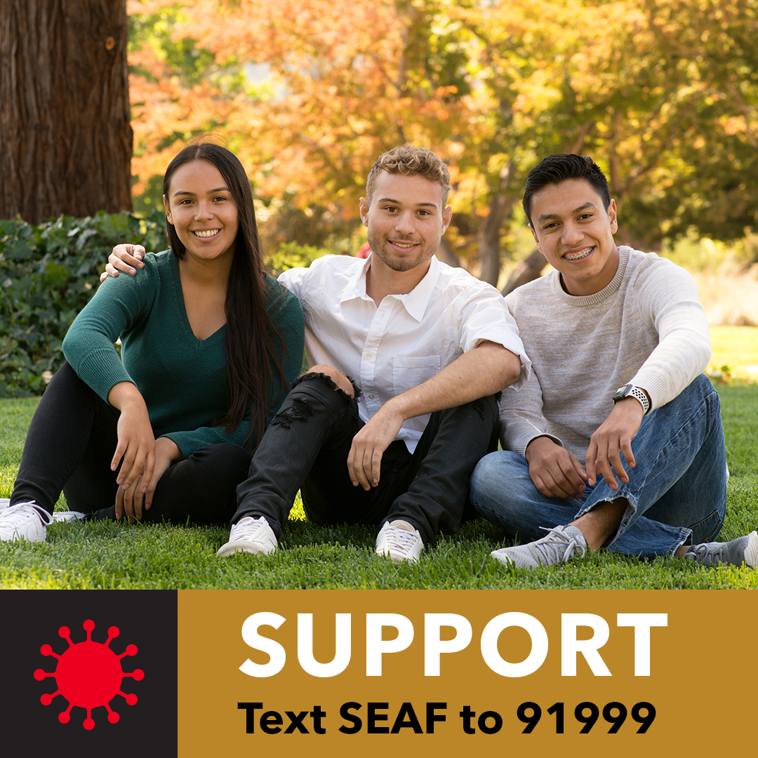 Three students sitting on lawn