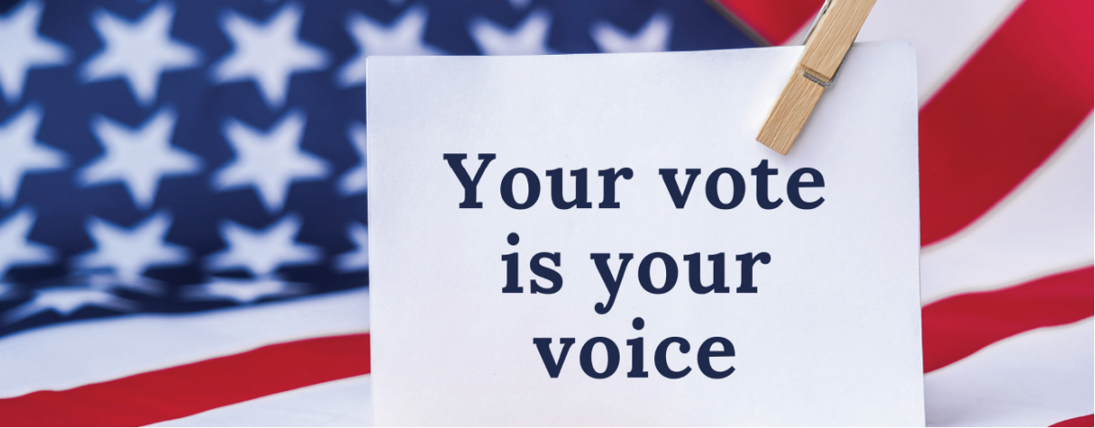 Your Vote is Your Voice