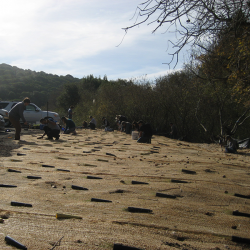 Biology students working to restore watershed area