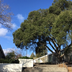 Kentfield Campus