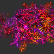 2019_NovelCoronavirus