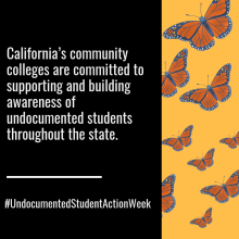 CCC Undoc Students_Social Media Graphic2