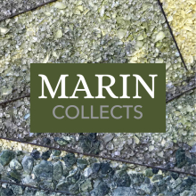 Marin-Collect-Thumbnail